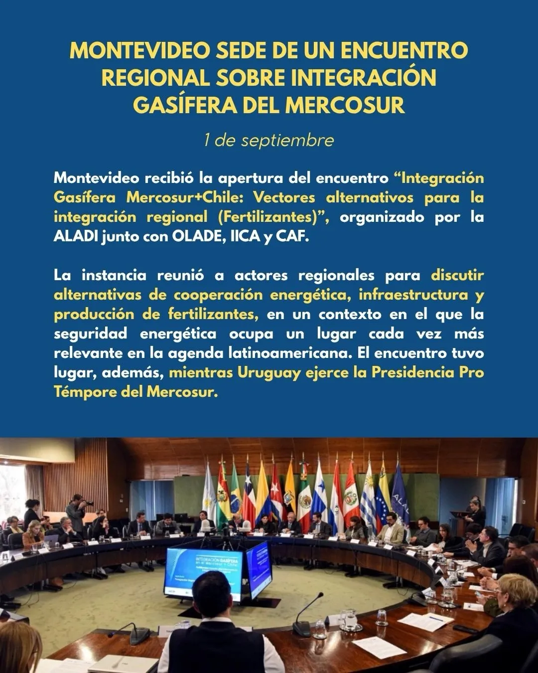OIDEF te informa · Edición N.º 6, imagen 3 de 12