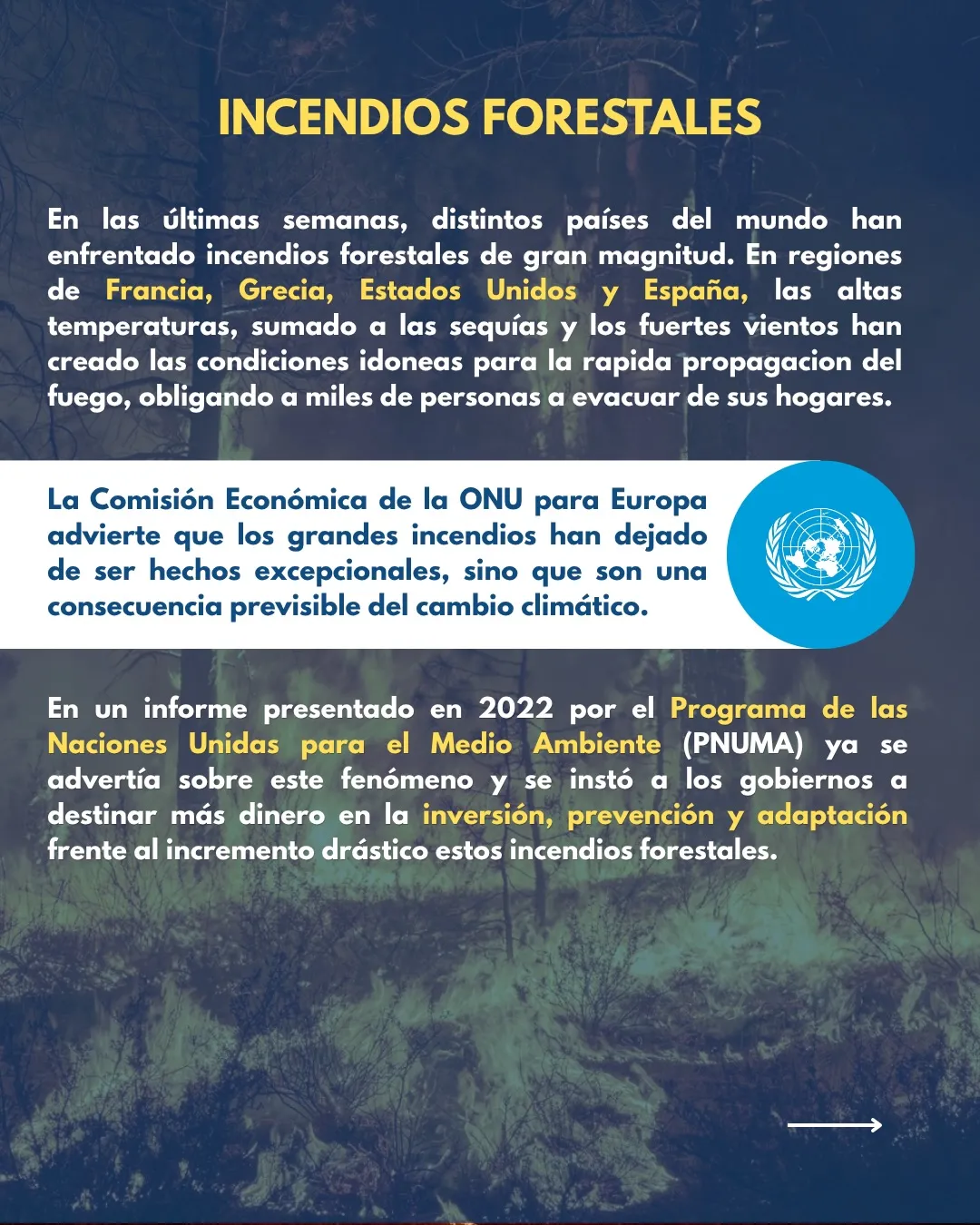 OIDEF te informa · Edición N.º 1, imagen 5 de 8