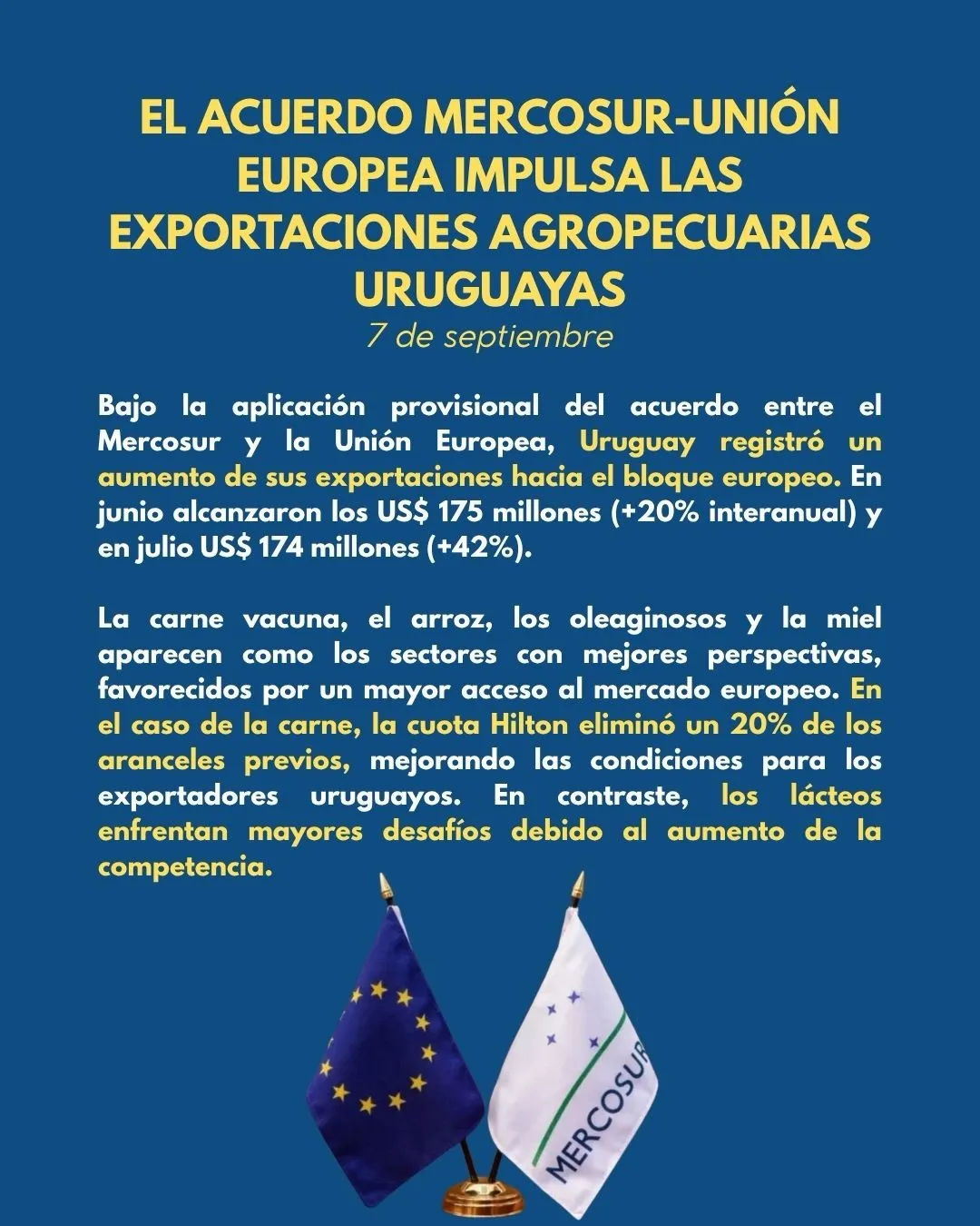 OIDEF te informa · Edición N.º 6, imagen 12 de 12